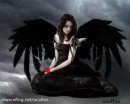 Fallen Angel